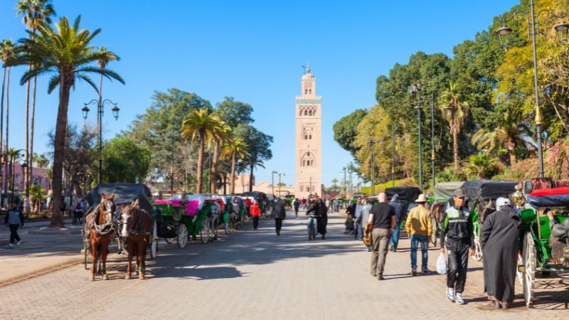 A captivating view of Marrakech’s bustling medina, highlighting the vibrant culture and historic charm featured in our Morocco Travel Guide.